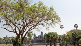 Angkor Wat behind the Trees, Cambodia
